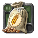 Wheat Seeds
