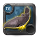 Adept's Druidic Bindings