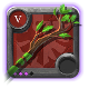 Expert's Great Nature Staff