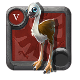 Baby Moabird