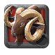 Tame Bighorn Ram