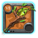 Master's Wild Staff