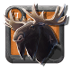 Tame Moose