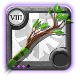 Elder's Great Nature Staff