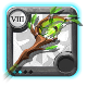 Elder's Wild Staff